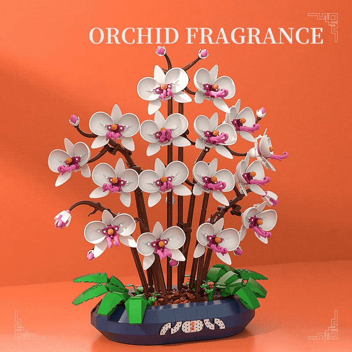 Snow Jade Phalaenopsis Orchid Building Block Phalaenopsis Potted Plant
