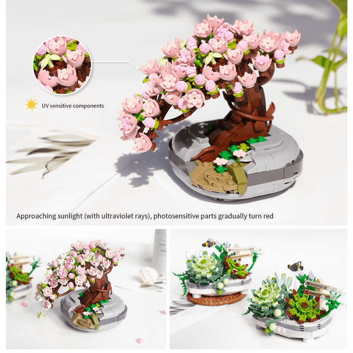cherry bonsai tree