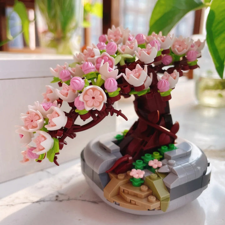 cherry blossom bonsai
