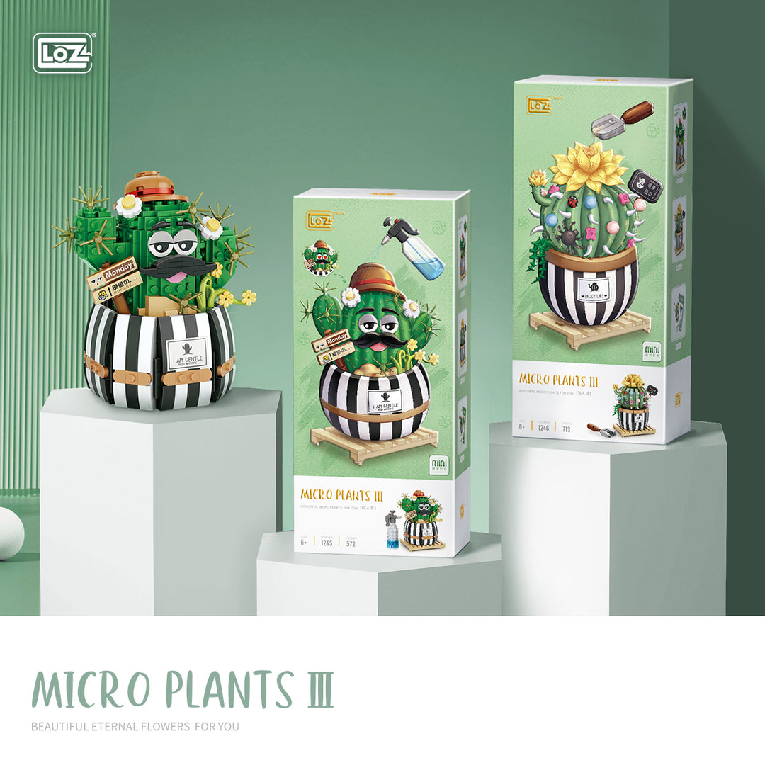 Balloon Cactus (Set 1246) - heydaystoys