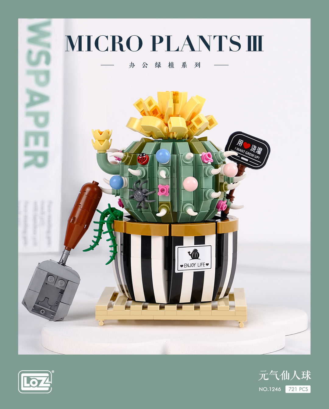 Balloon Cactus (Set 1246) - heydaystoys