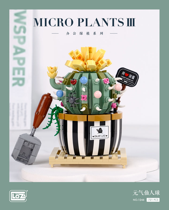 Balloon Cactus (Set 1246) - heydaystoys