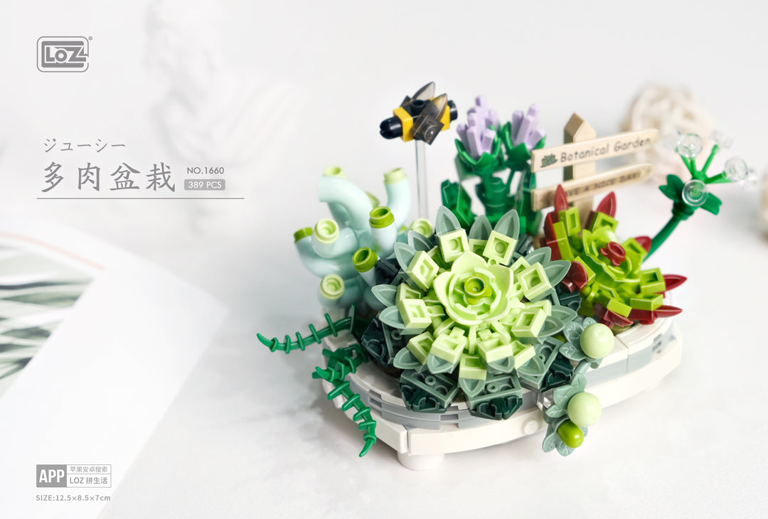 Botanical Garden Succulent (Set 1660) - heydaystoys