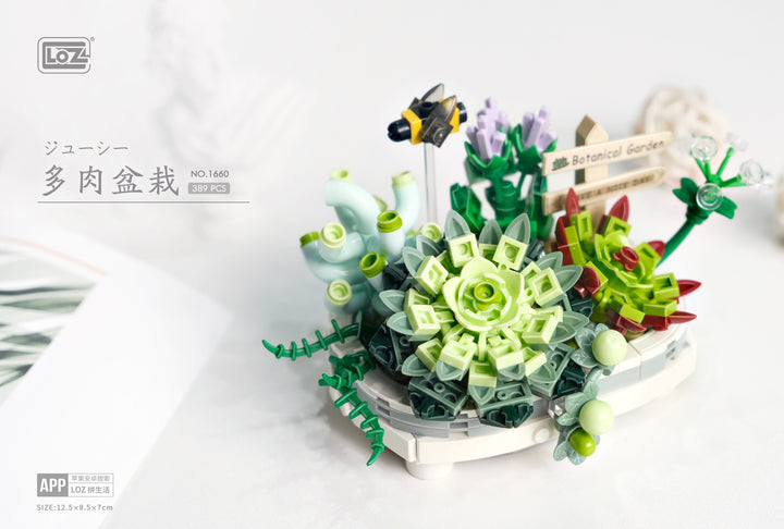 Botanical Garden Succulent (Set 1660) - heydaystoys
