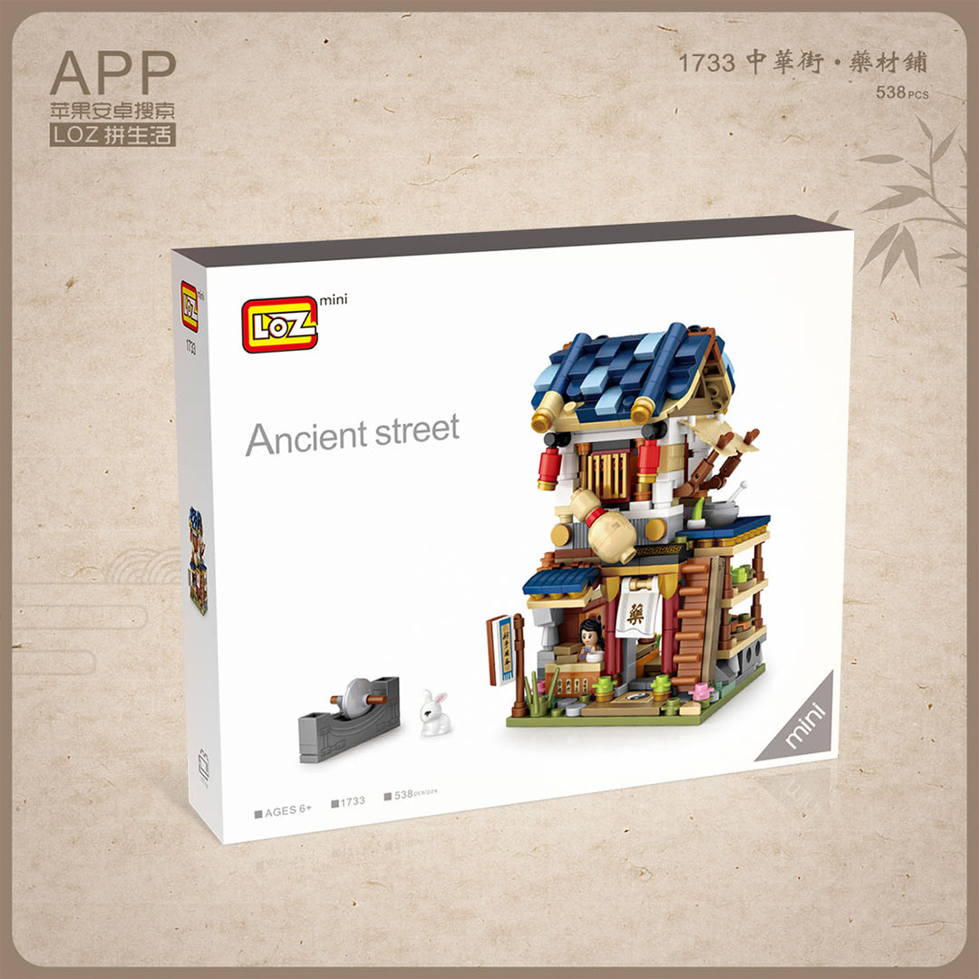 Herbal Medicine Shop (Set 1733) - heydaystoys