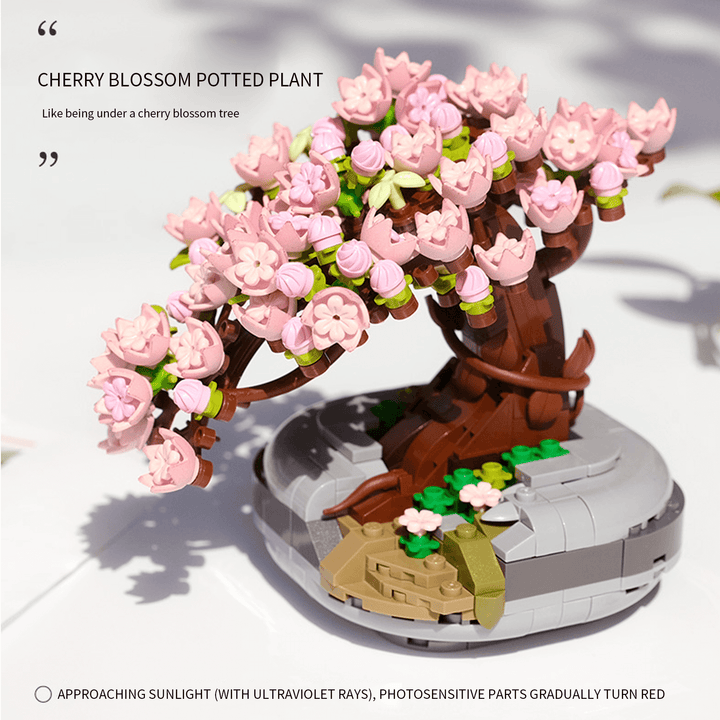 Sakura tree Bonsai   (Set 1661)