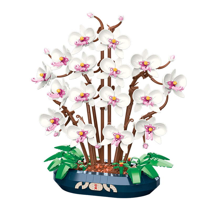 Snow Jade Phalaenopsis Orchid Building Block Phalaenopsis Potted Plant