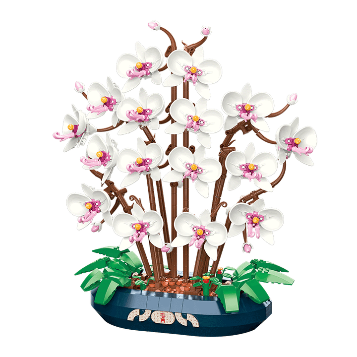 Snow Jade Phalaenopsis Orchid Building Block Phalaenopsis Potted Plant