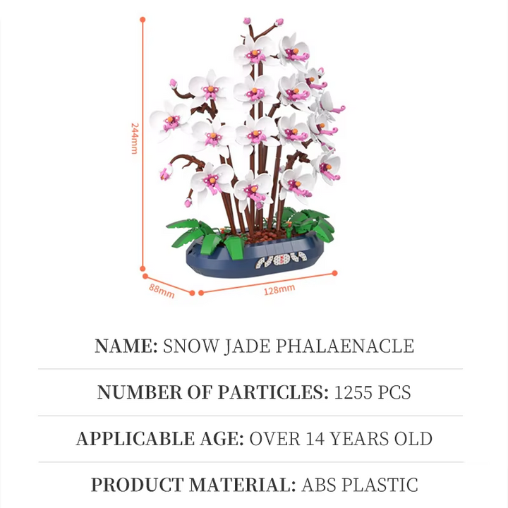 Snow Jade Phalaenopsis Orchid Building Block Phalaenopsis Potted Plant