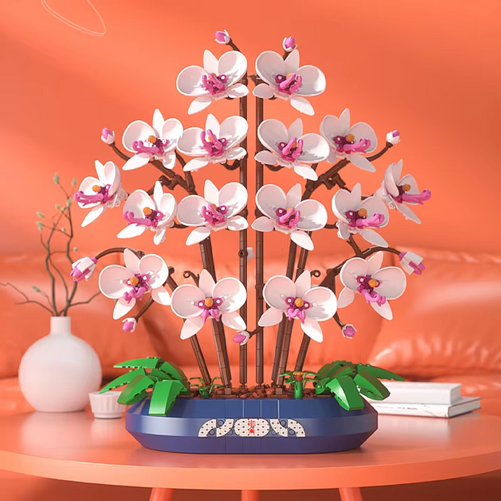 Snow Jade Phalaenopsis Orchid Building Block Phalaenopsis Potted Plant