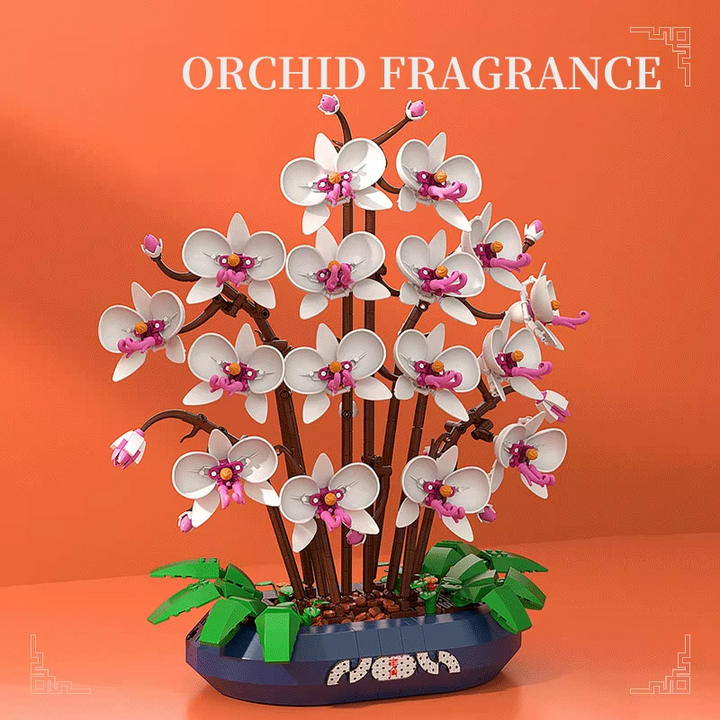 Snow Jade Phalaenopsis Orchid Building Block Phalaenopsis Potted Plant