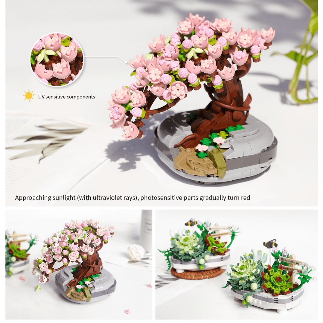 Sakura tree Bonsai   (Set 1661)