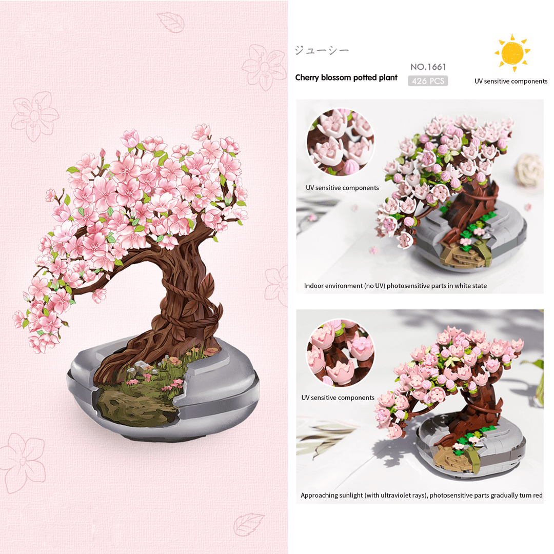 Sakura tree Bonsai   (Set 1661)
