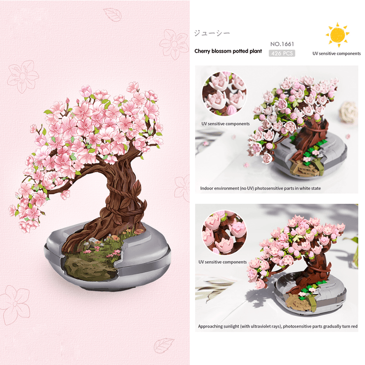 Sakura tree Bonsai   (Set 1661)