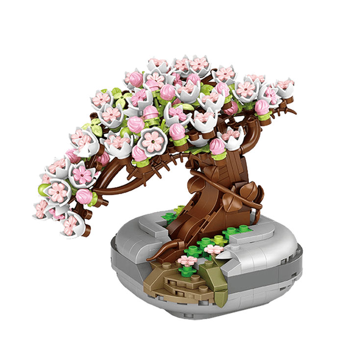 Sakura tree Bonsai   (Set 1661)