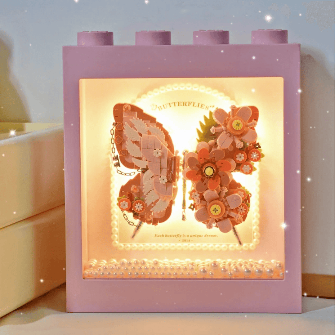 Pink Butterfly Display Frame(Set 1960)