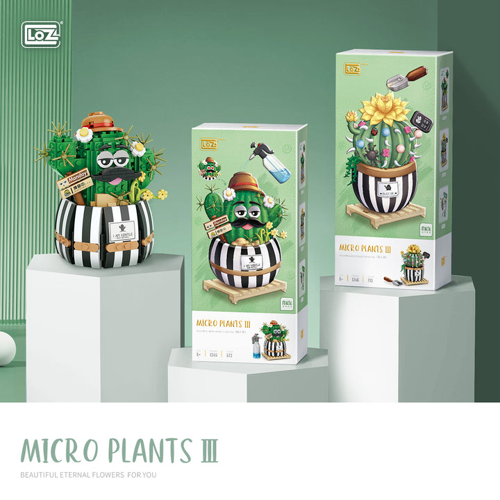 Balloon Cactus (Set 1246)