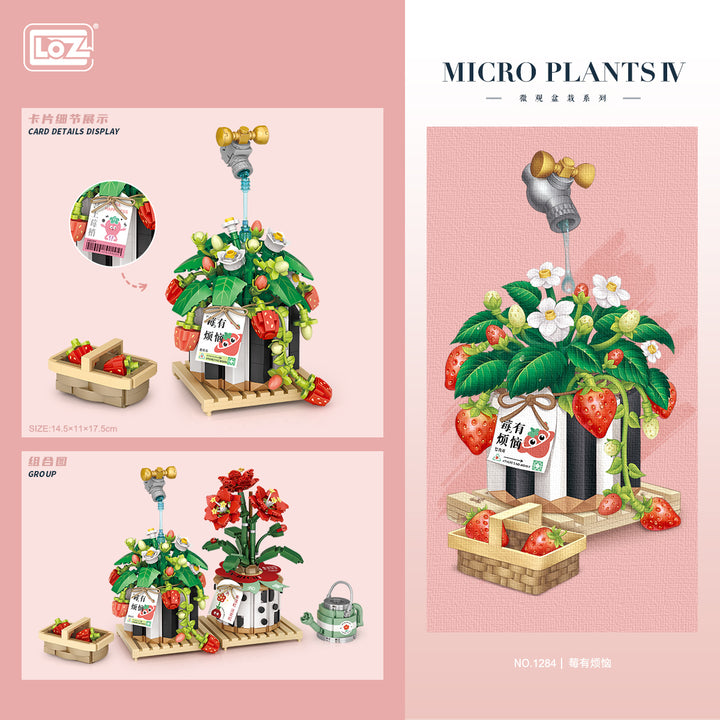 Cactus Plant with Flowering Fruit (Set 1284)